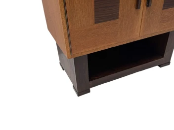 Art Deco Modernist Cabinet by 't Woonhuys Amsterdam, 1920s