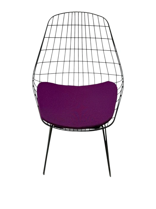 Mid-Century Modern FM05 Wire Chair by Cees Braakman, 1950s