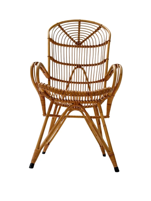 Mid-Century Modern High-Back Lounge Chair, Rattan & Bamboo, 1960s