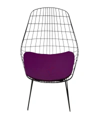 Mid-Century Modern FM05 Wire Chair by Cees Braakman, 1950s